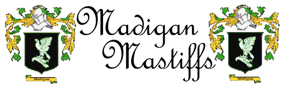 madigan logo